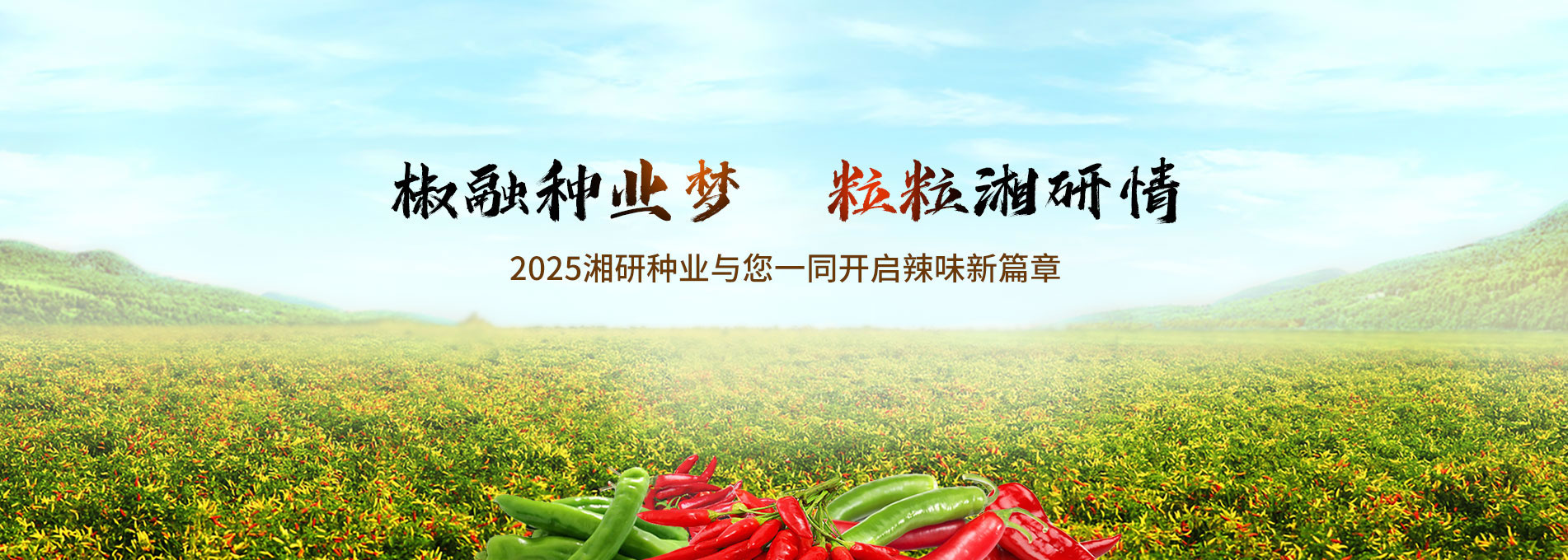 ӲӾվһI(y)W(wng)վǧfe